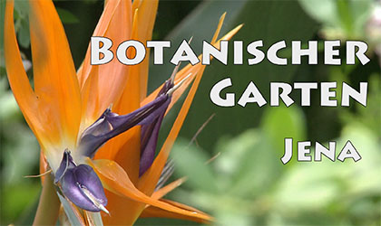 Botanischer Garten xl