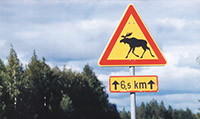 Elchtest in Finnland Elchtest in Finnland