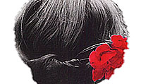 Hanemann-Blume im Haar-s Hanemann-Blume im Haar-s