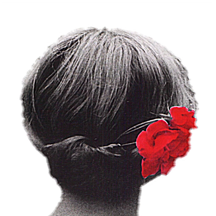 Hanemann-Blume im Haar