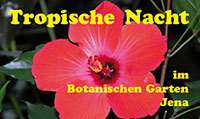 Tropische Nacht